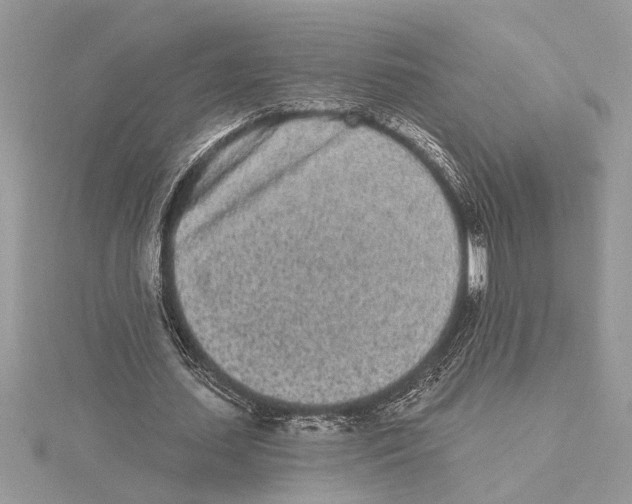 X0000115520627200912040929