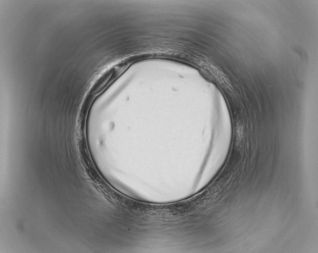 X0000115520628200912040929