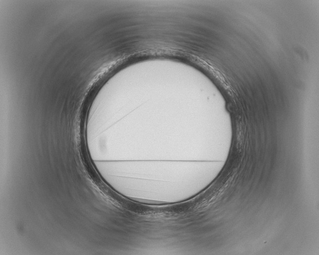 X0000115520629200912040929