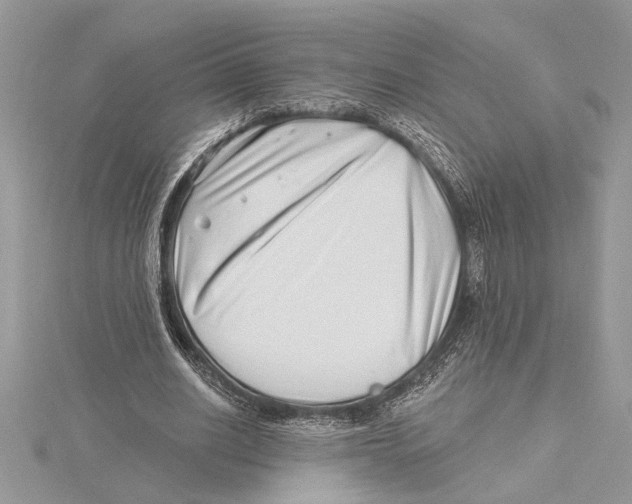 X0000115520630200912040929