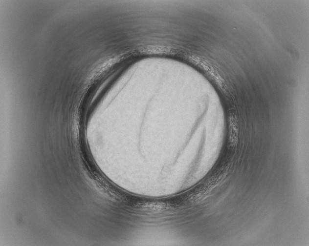 X0000115520631200912040929