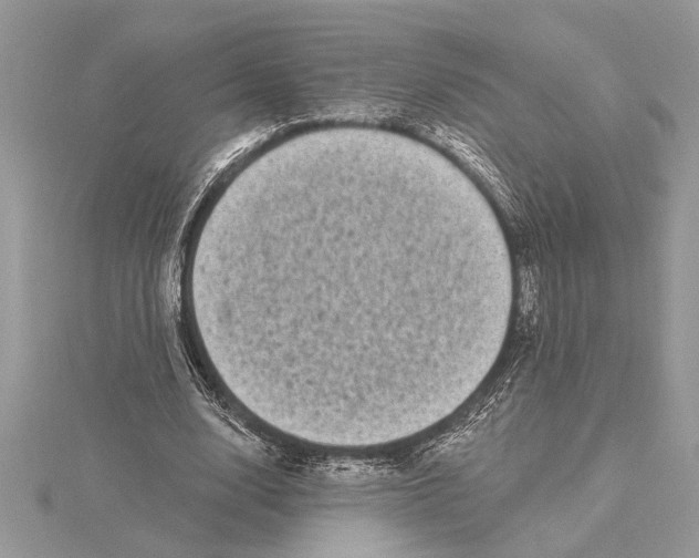 X0000115520632200912040929