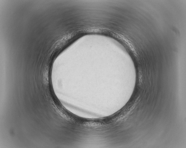 X0000115520633200912040929