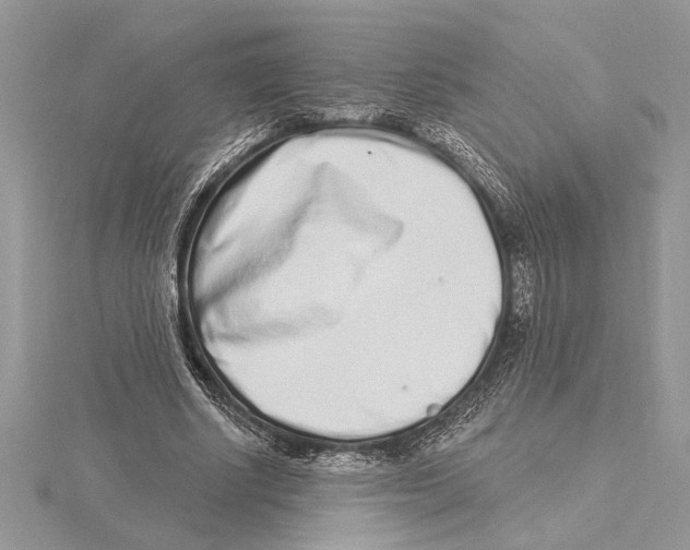 X0000115520634200912040929