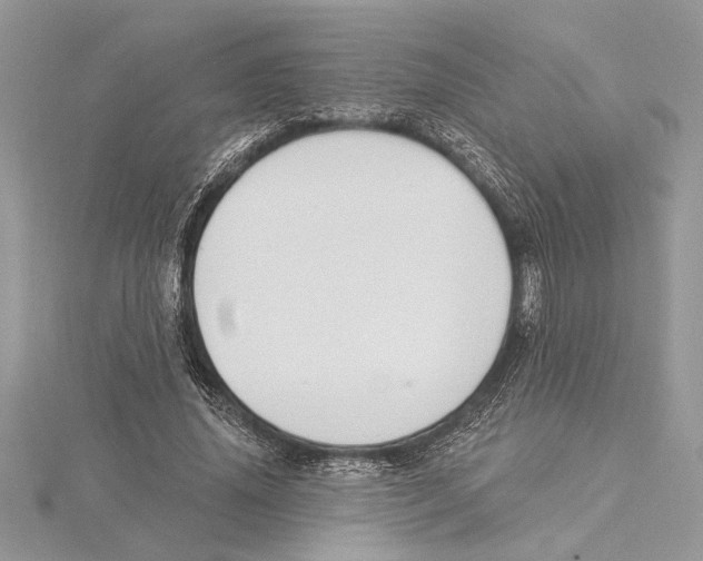 X0000115520636200912040929