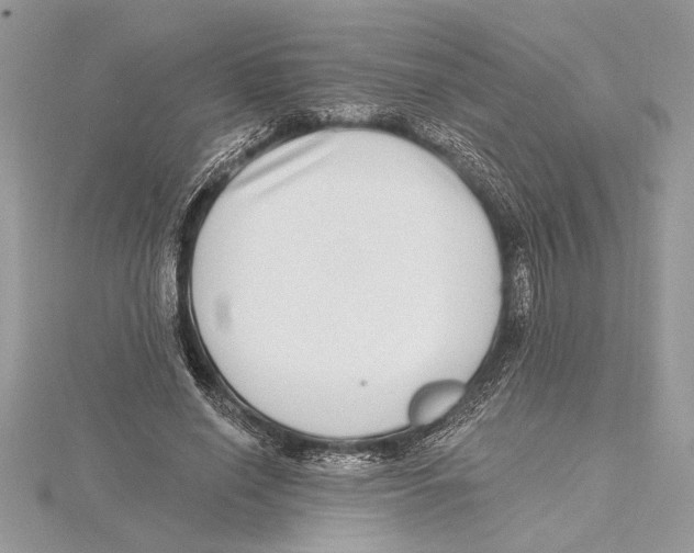 X0000115520638200912040929