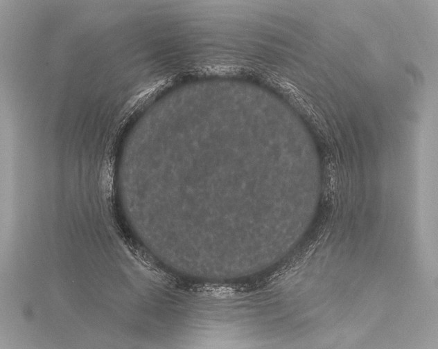 X0000115520640200912040929