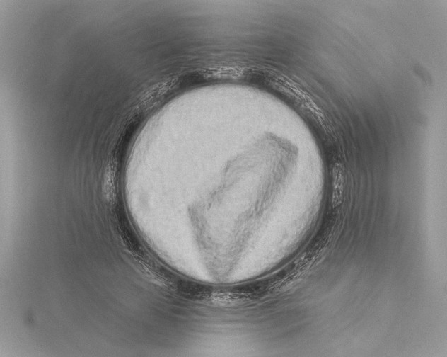 X0000115520641200912040929