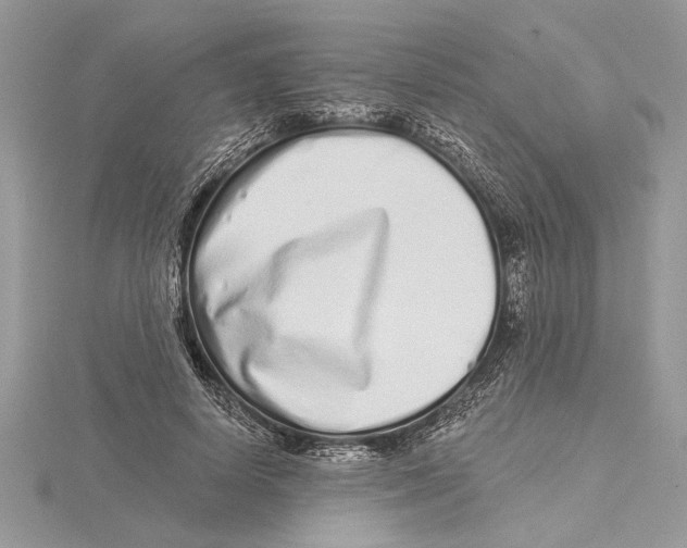 X0000115520642200912040929