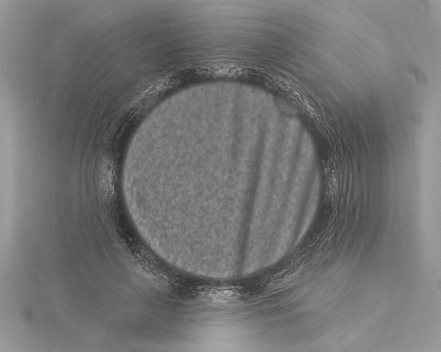 X0000115520643200912040929