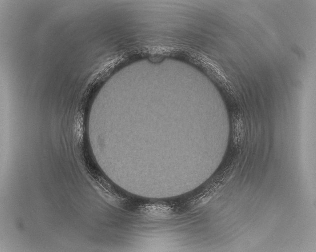 X0000115520644200912040929