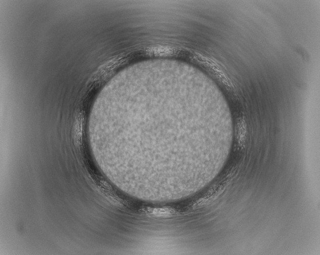 X0000115520645200912040929