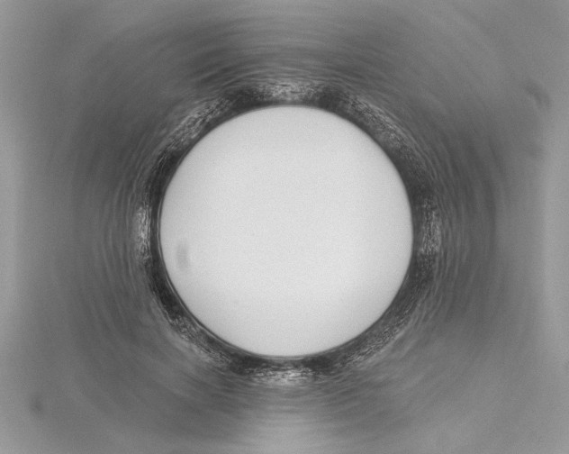 X0000115520646200912040929