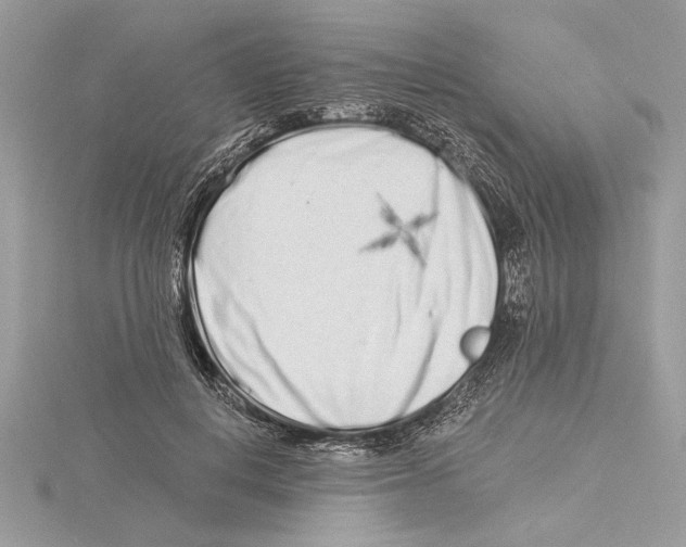 X0000115520648200912040929