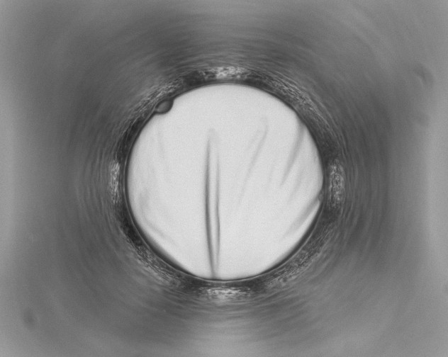 X0000115520650200912040929