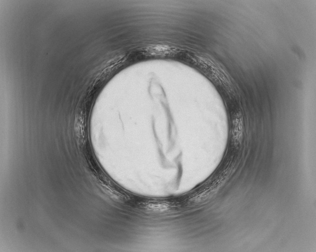 X0000115520653200912040930