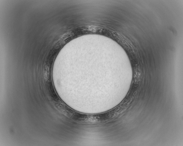 X0000115520656200912040930