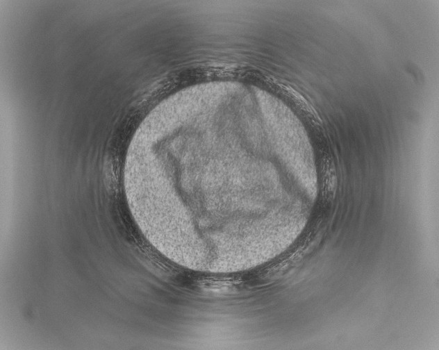 X0000115520661200912040930