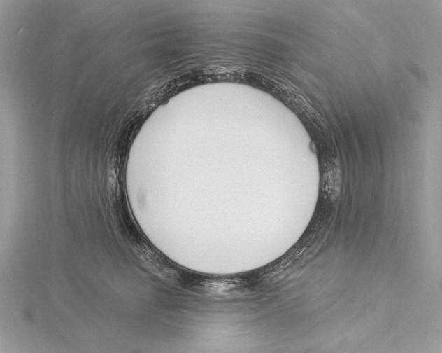 X0000115520662200912040930