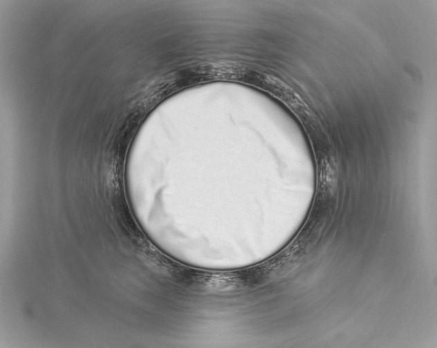 X0000115520663200912040930