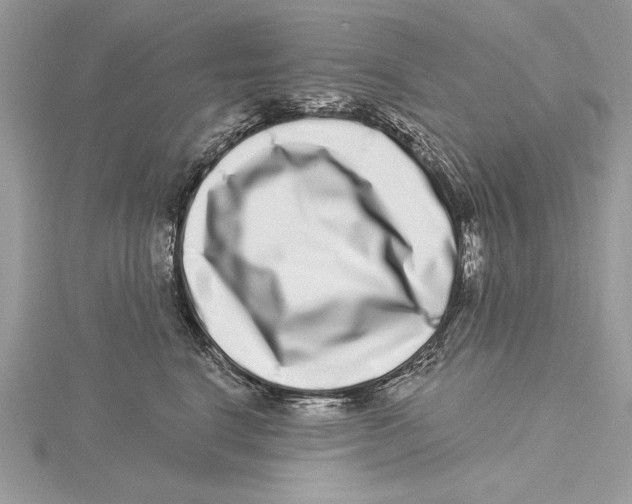 X0000115520664200912040930