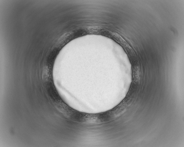 X0000115520667200912040930