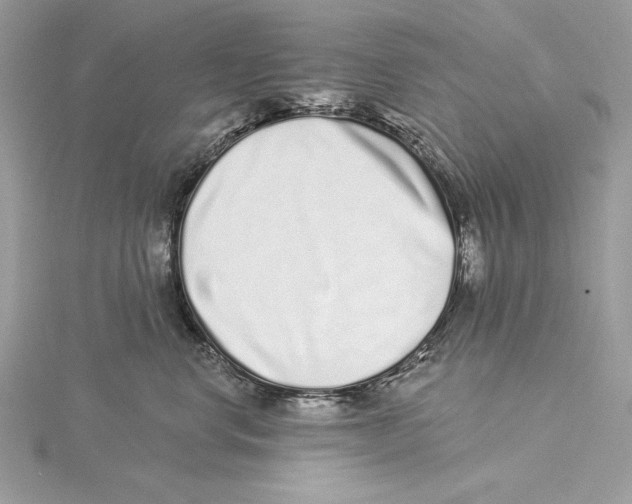 X0000115520668200912040930