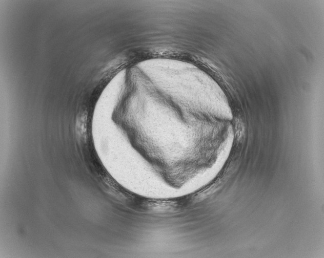 X0000115520670200912040930