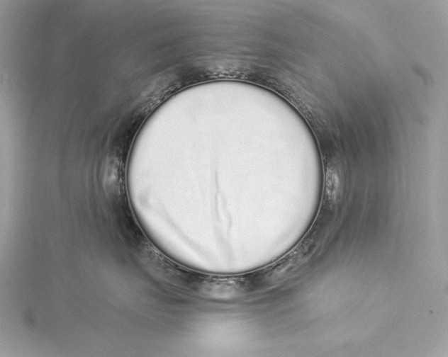 X0000115520671200912040930