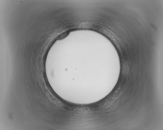 X0000115520673200912040929