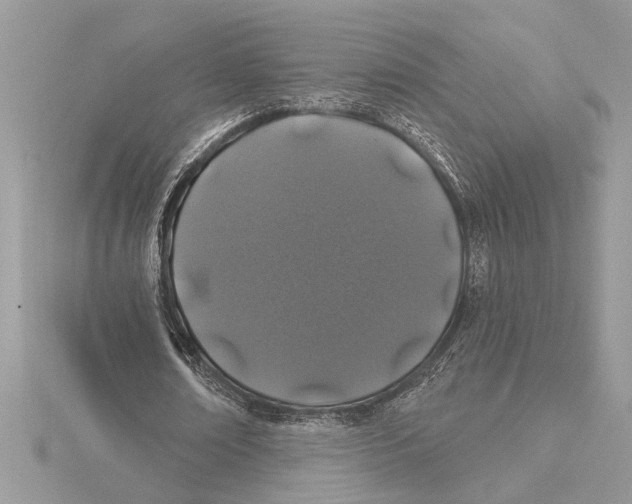 X0000115520674200912040929