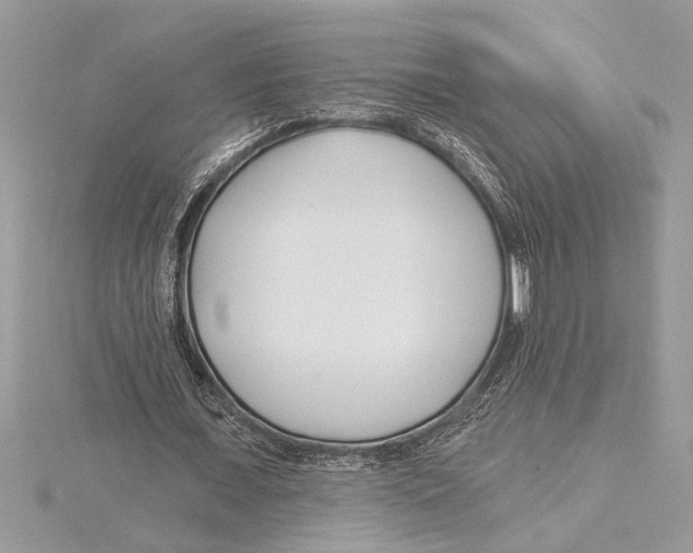 X0000115520675200912040929