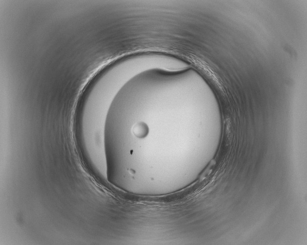 X0000115520676200912040929