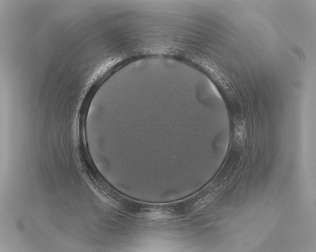 X0000115520678200912040929