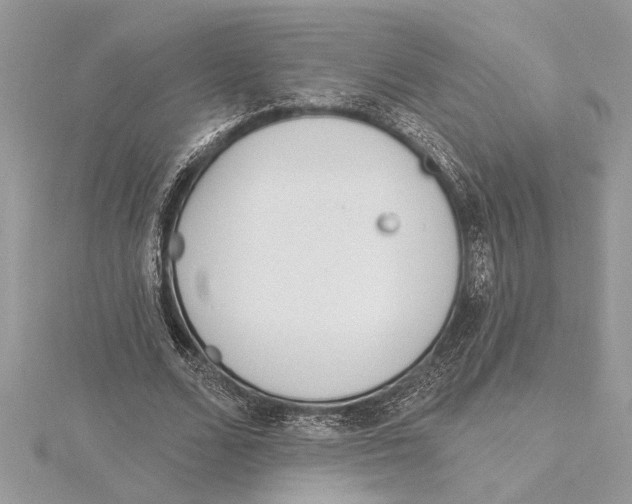 X0000115520680200912040929