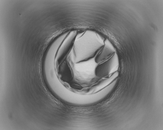 X0000115520681200912040929