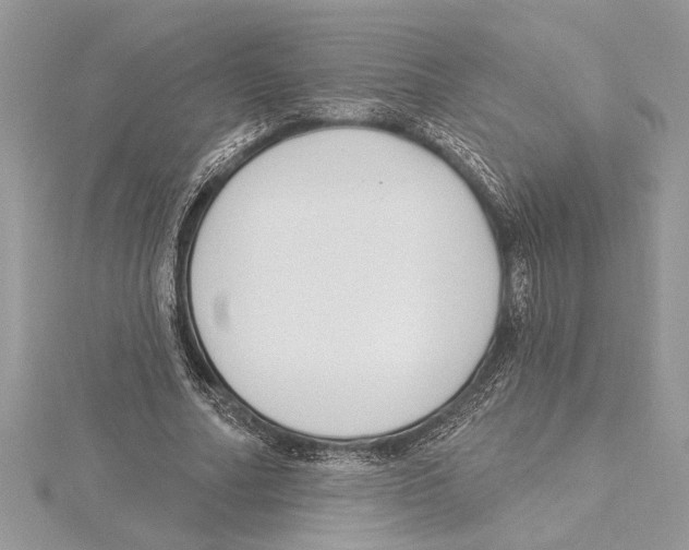 X0000115520682200912040929