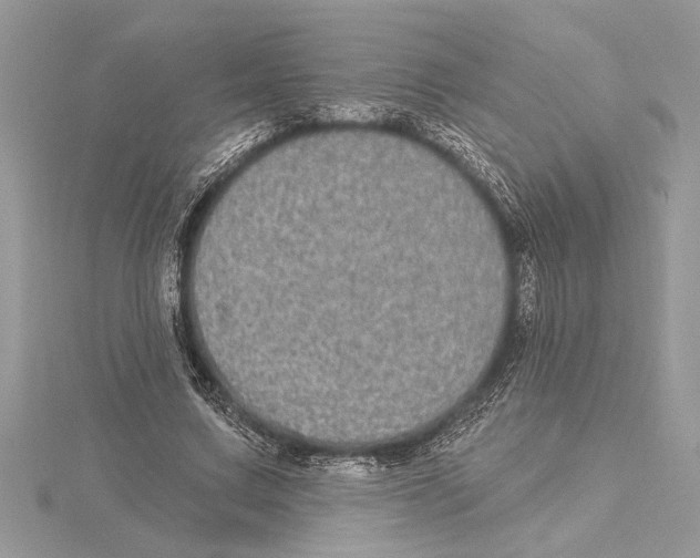 X0000115520683200912040929