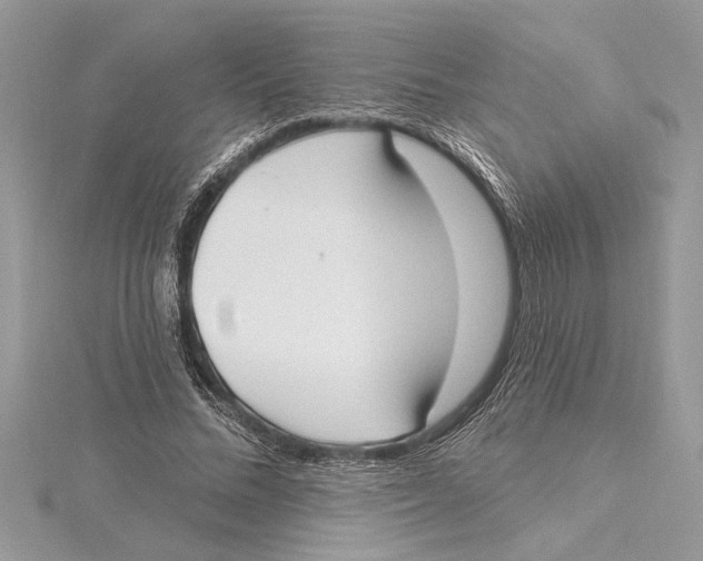 X0000115520684200912040929