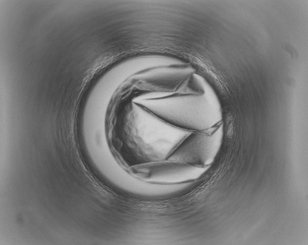 X0000115520685200912040929