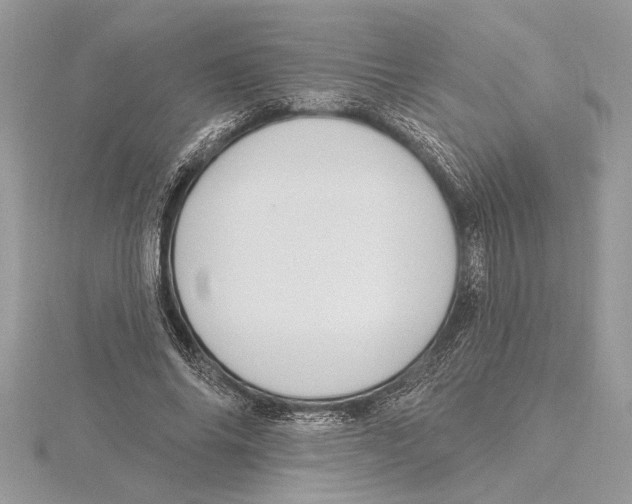 X0000115520686200912040929