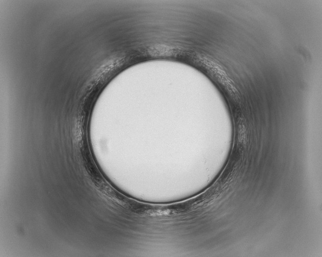 X0000115520687200912040929