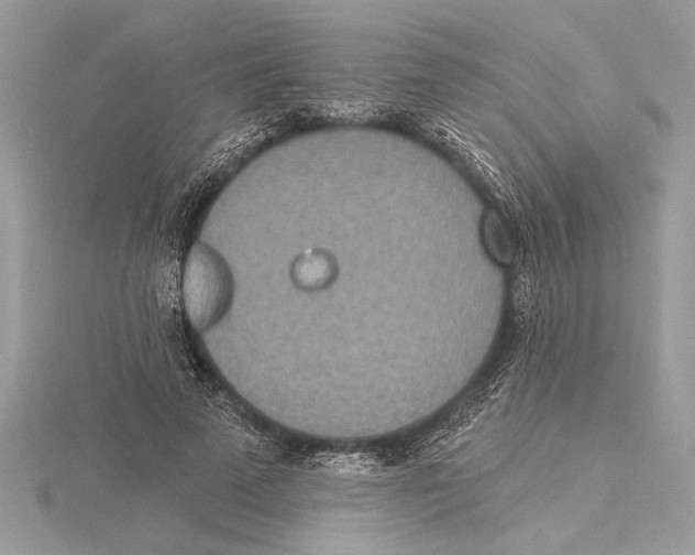 X0000115520689200912040929