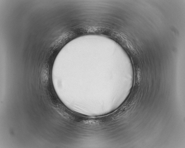 X0000115520691200912040929