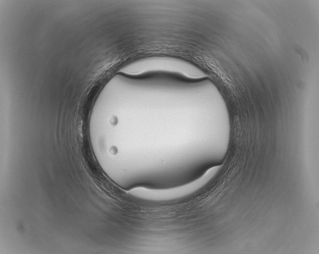 X0000115520692200912040929