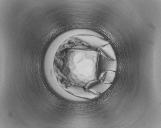 X0000115520693200912040929