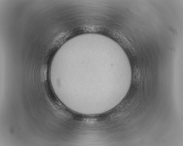 X0000115520694200912040929