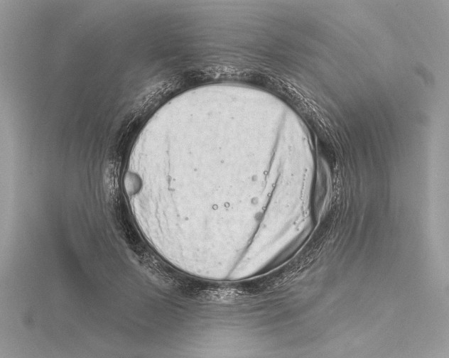 X0000115520695200912040929