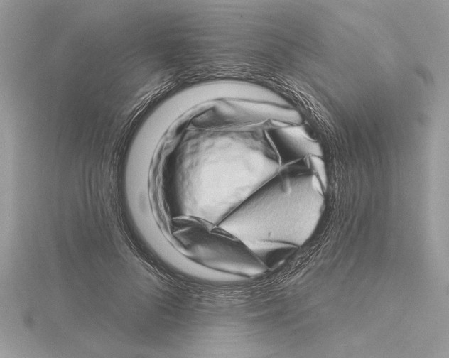 X0000115520696200912040929