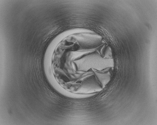 X0000115520697200912040929